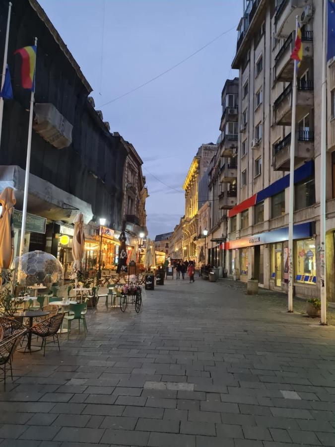 Appartamento Color Ap Calea Victoriei 12C Bucarest Esterno foto